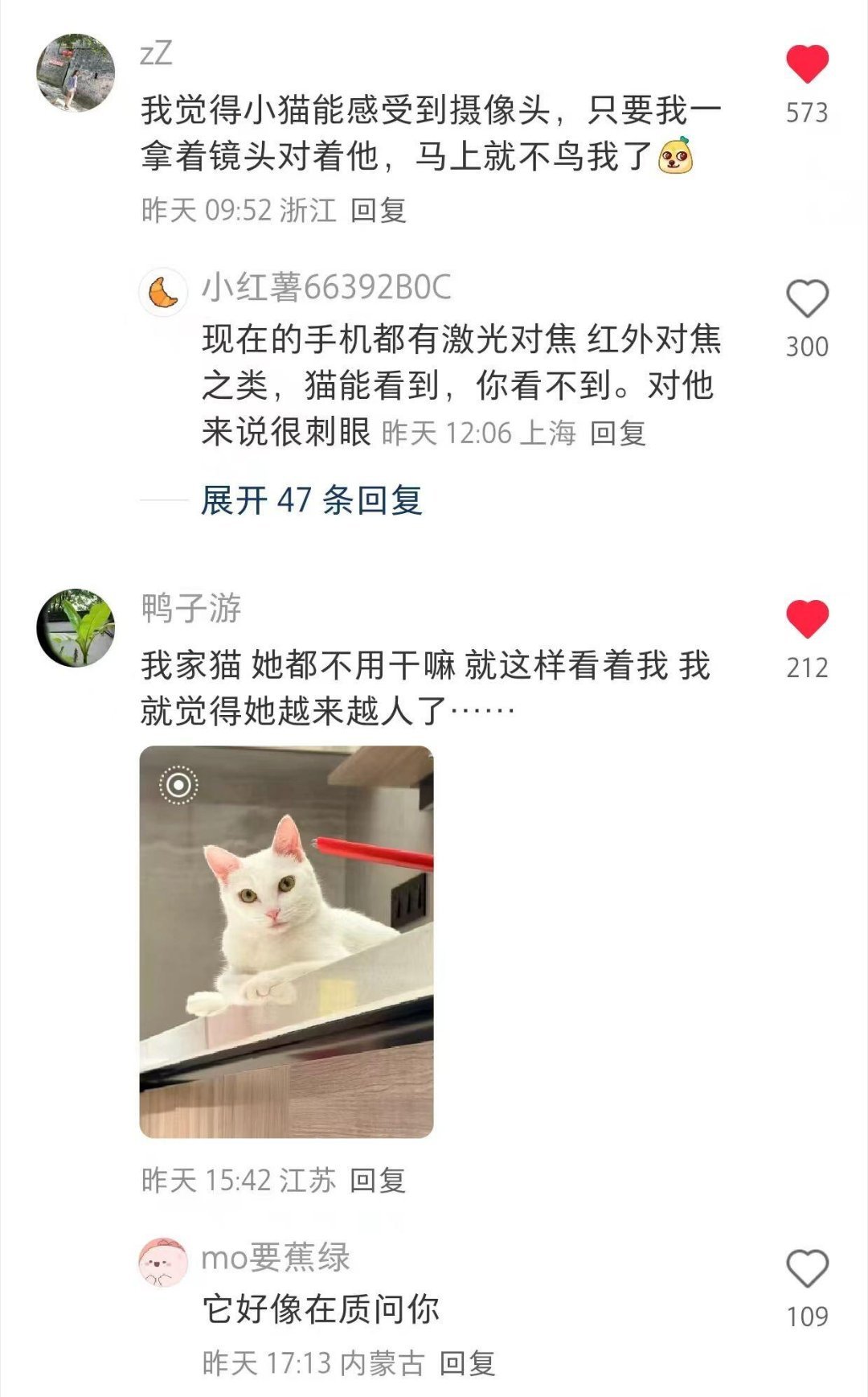有点不敢对猫乱说话了​​​