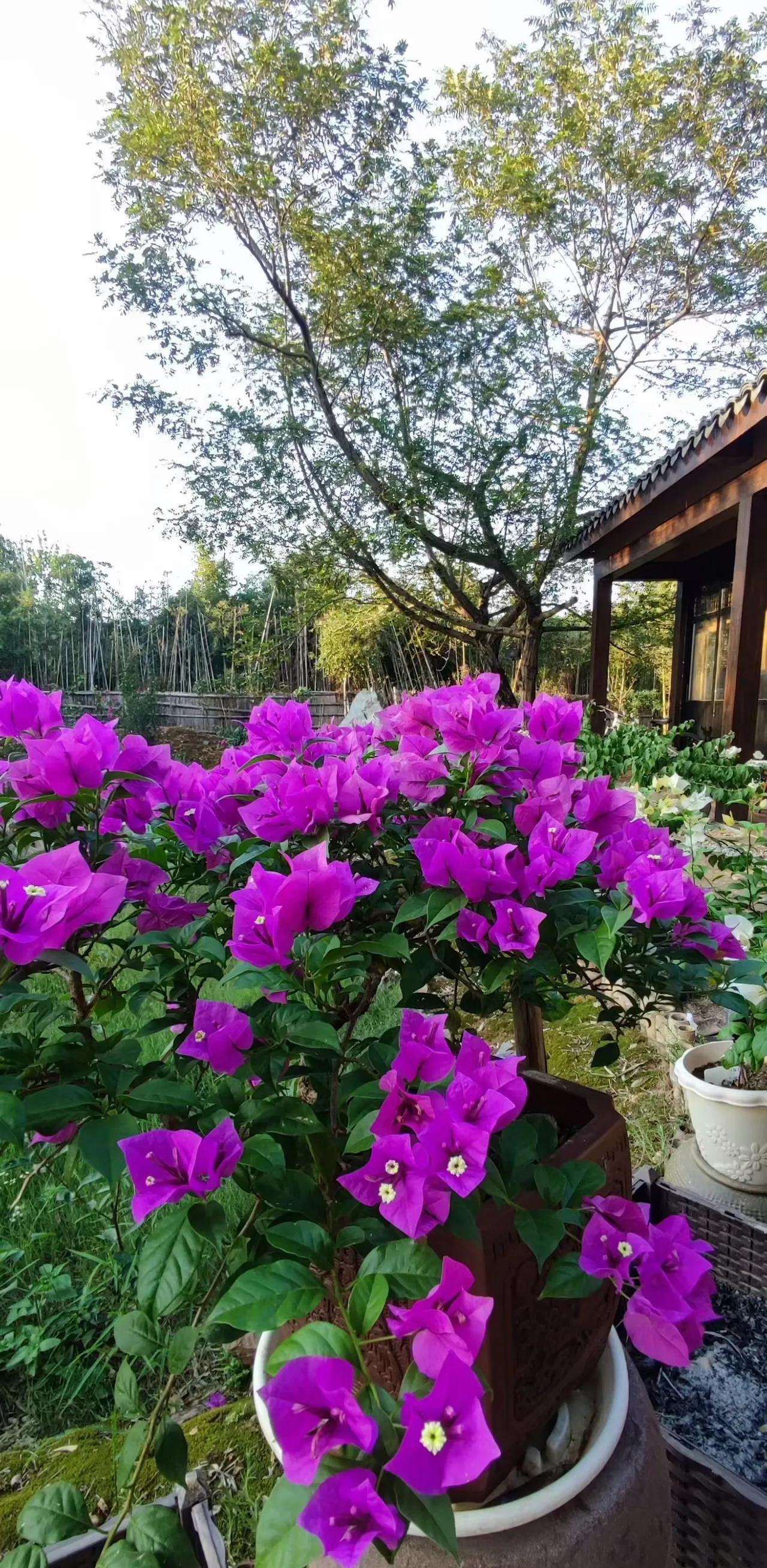 我是71年的，一辈子没什么牵绊，也没什么依靠。没有房贷的压力，却也没有养老金的底