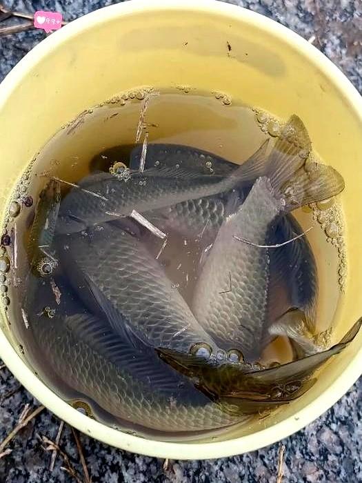 钓鱼这事儿，有时候真不讲道理。一个新手，河边坐了半小时腿都麻了，刚准备收竿走