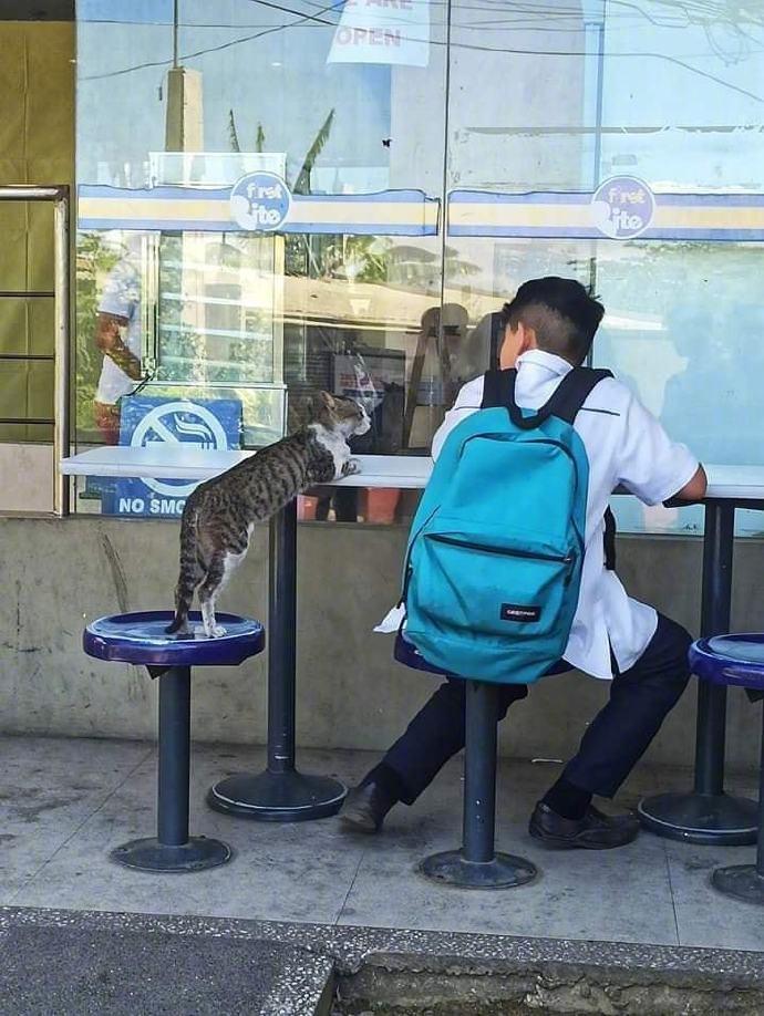 帮我也来一份吧.