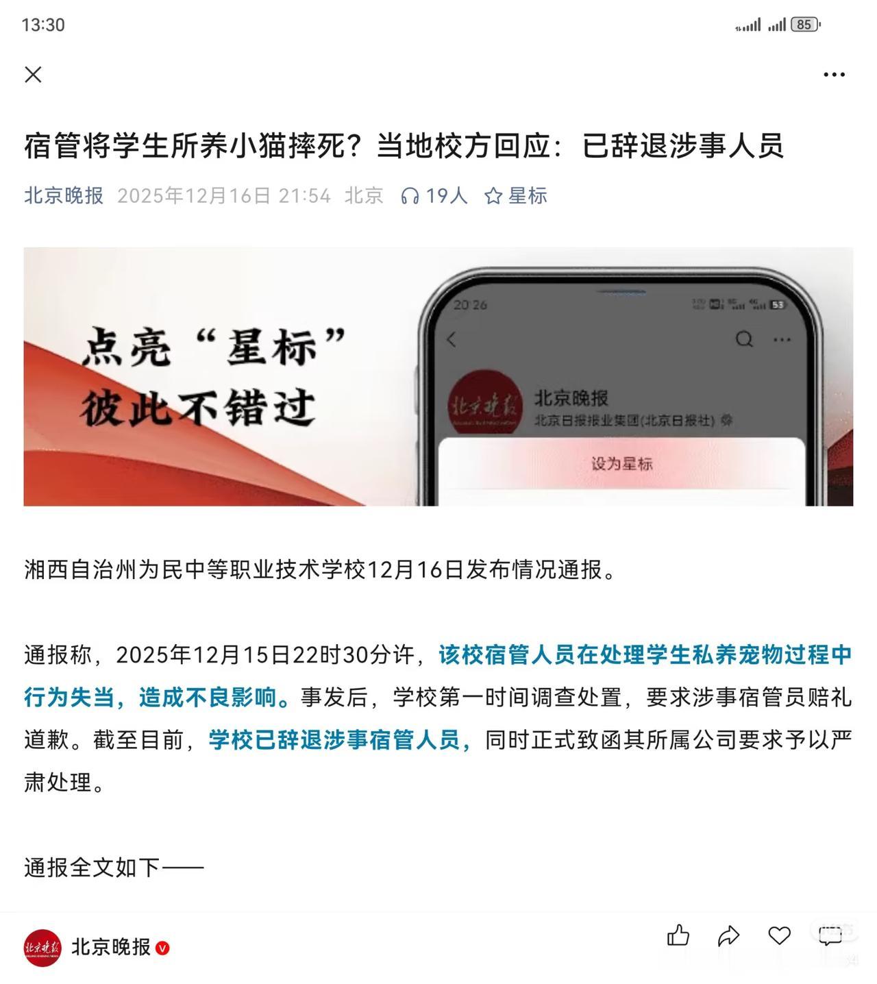 就因为摔死一只猫就被辞退？能不能有点人性。而且宿舍养猫本身就是不允许的，并且是