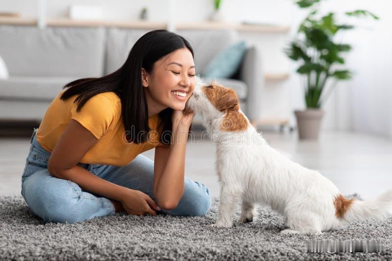 狗狗也有诗和远方吗? 狗狗也有诗和远方吗萌犬也贪恋山河美景，奔赴人间温柔，向