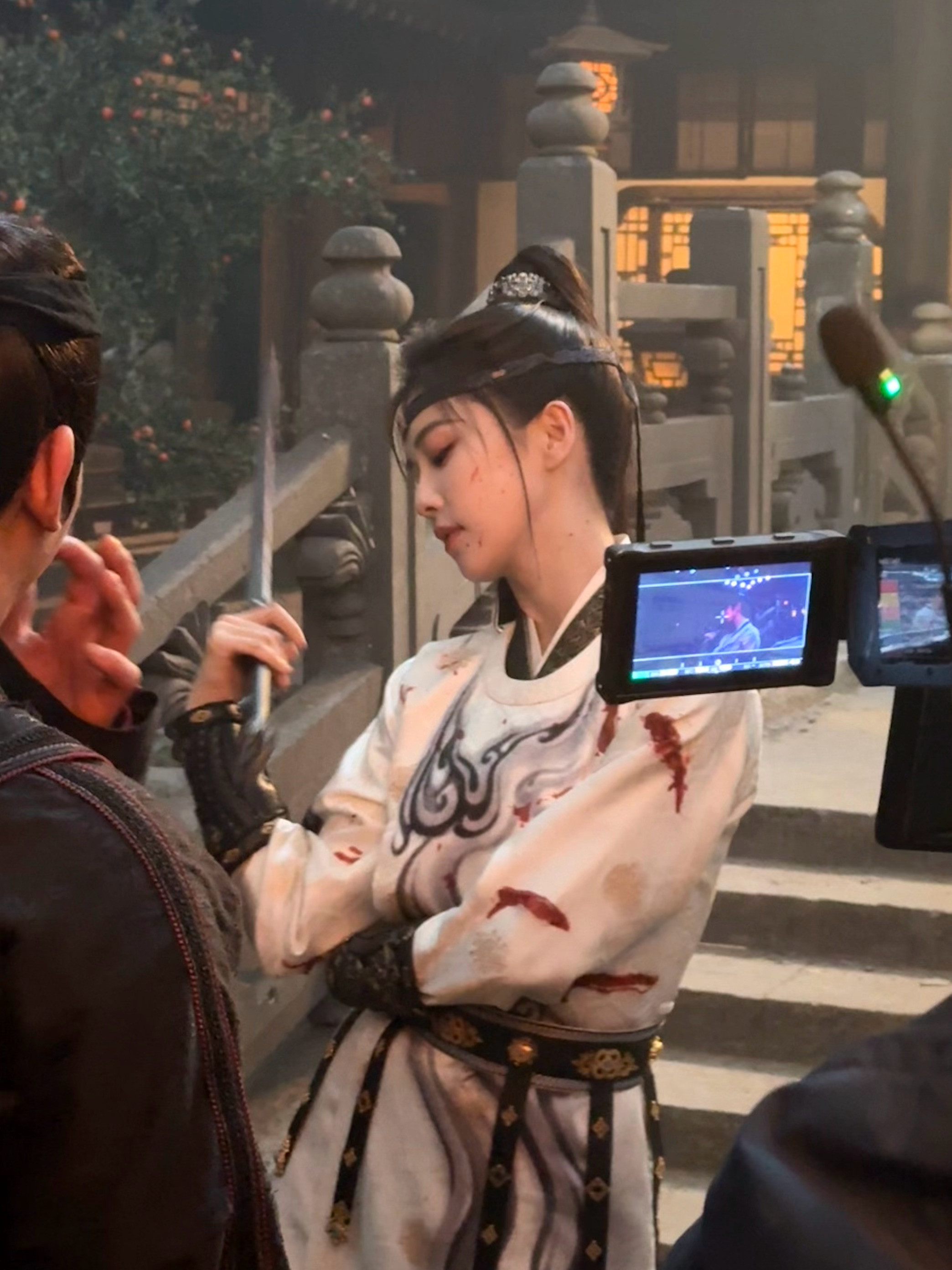 白鹿在复制粘贴的时代，你是手写的诗