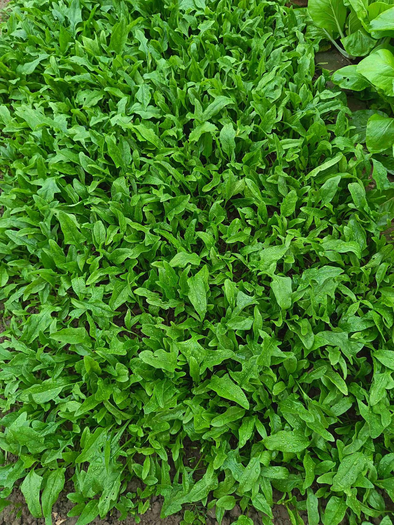 今天是11月7日，是二十四节气中第19个节令，今天中午12时零3分，进入“立冬”