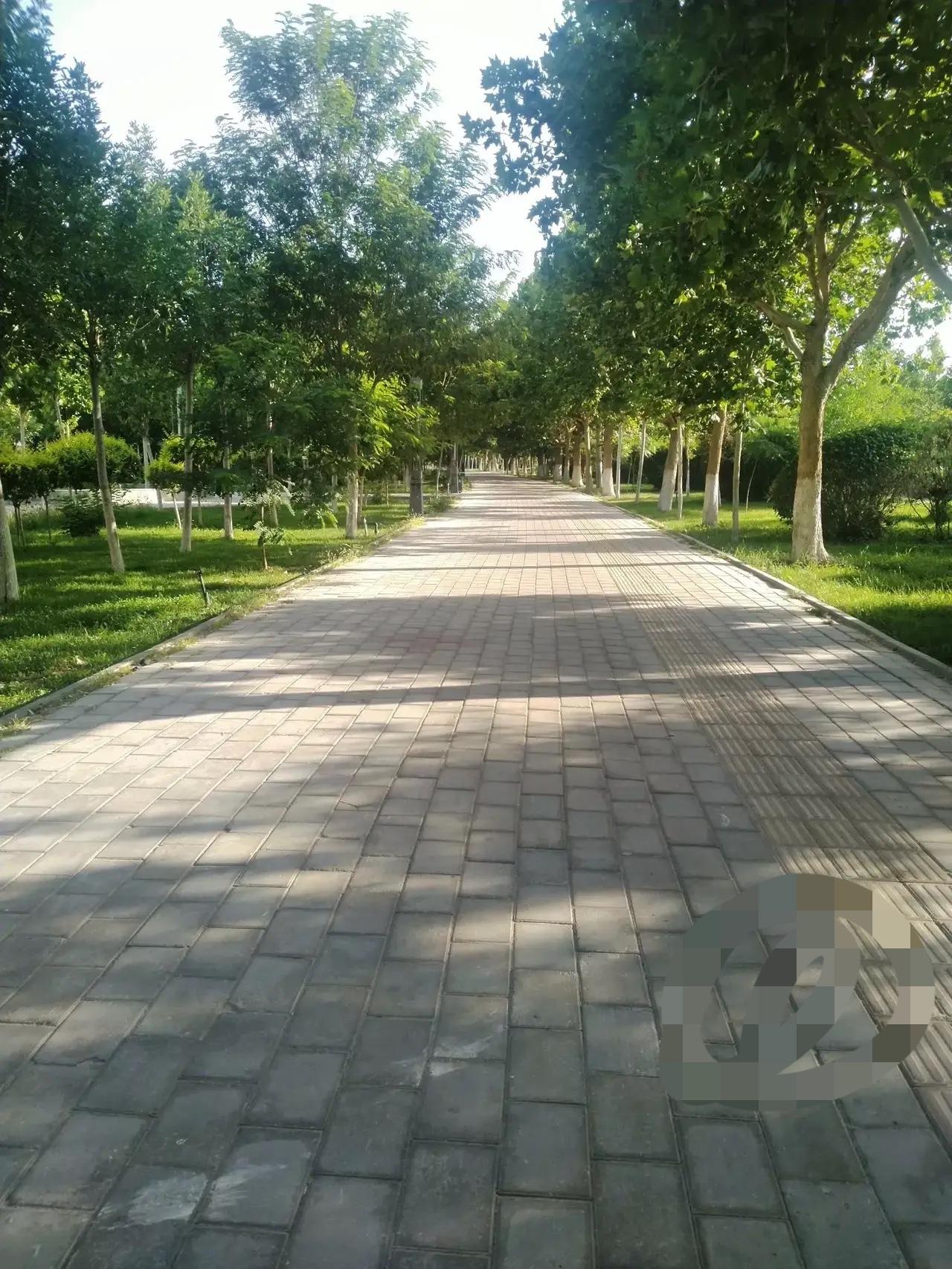 今天去看了一个活，四十七袋建筑垃圾，砸墙的垃圾，从四楼扛下来，我问给多少钱，包活