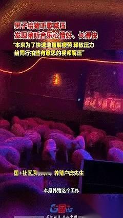 广西桂林有个养猪的庞先生，干了件怪事。他嫌喂猪太枯燥，一咬牙，花了三千块，直接