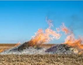 近日，一则采访视频饱受争议，视频里，一黑河市农民告诉记者：以前一把火烧了，现在谁