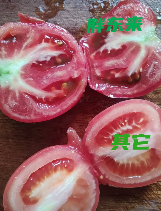 都说胖东来的蔬菜水果贵，要我说，确实贵！可是你往下接着看。同样的普罗旺斯西红柿