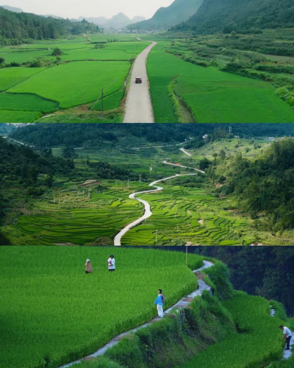 国产剧里找到了梦中情村谁还没追《小芳》我真的会难过，柴火灶、夏夜虫鸣、无边绿野一
