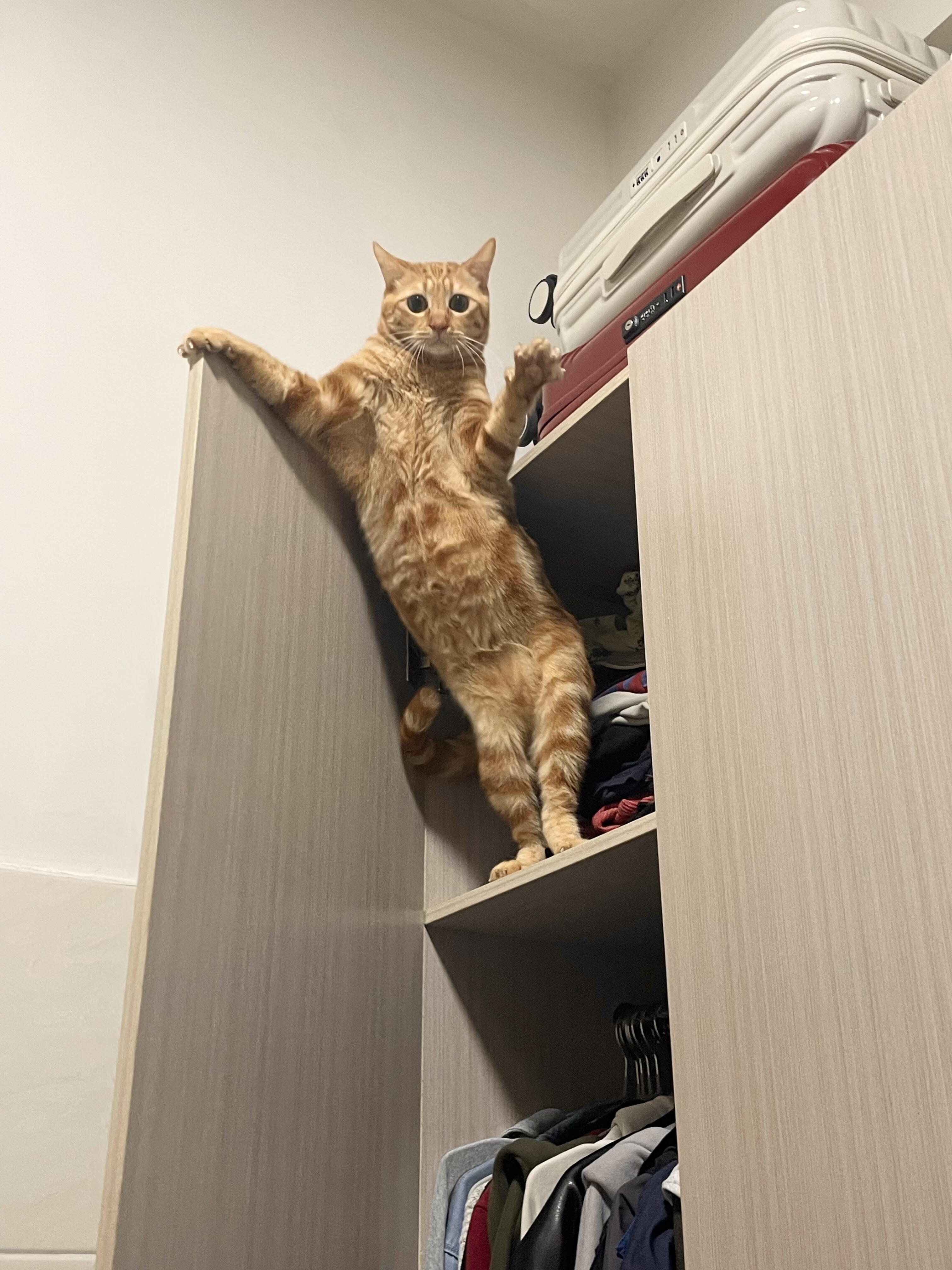 一天天跟有那个病似的