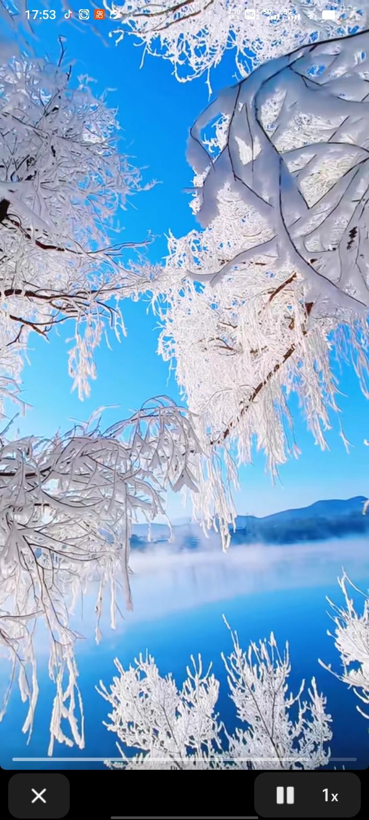 上联：风摇雪影梅香远。邀您对下联下联：月映寒江雾凇花。