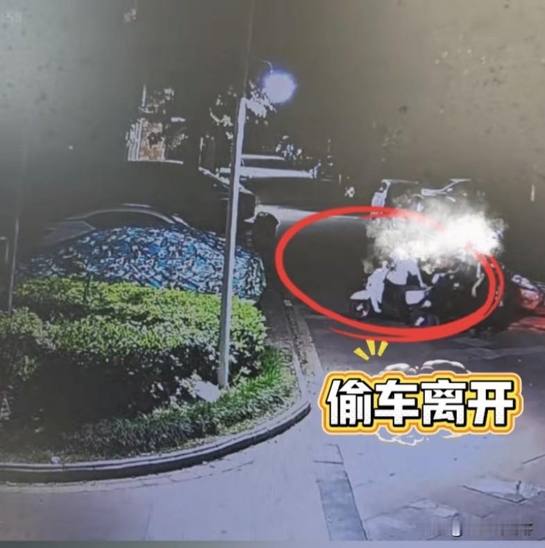 广西灵山，一小伙偷了路人的电动车，得手之后非但不慌不跑，反而特意凑到监控镜头正前
