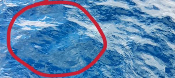 台F-16战机失事真相曝光，飞行员可能死于“自己人”之手 1月6日，台湾空军