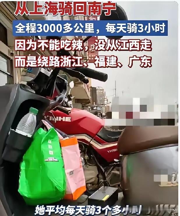 这哪里是回家过年，分明就是让心在路上流浪。上海一女子，骑电动车从上海回广西南