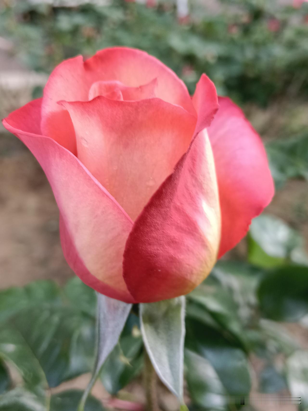 学会自带财气，财运自到你这，八方来财1.手上带个表。2.不要总说“我没钱