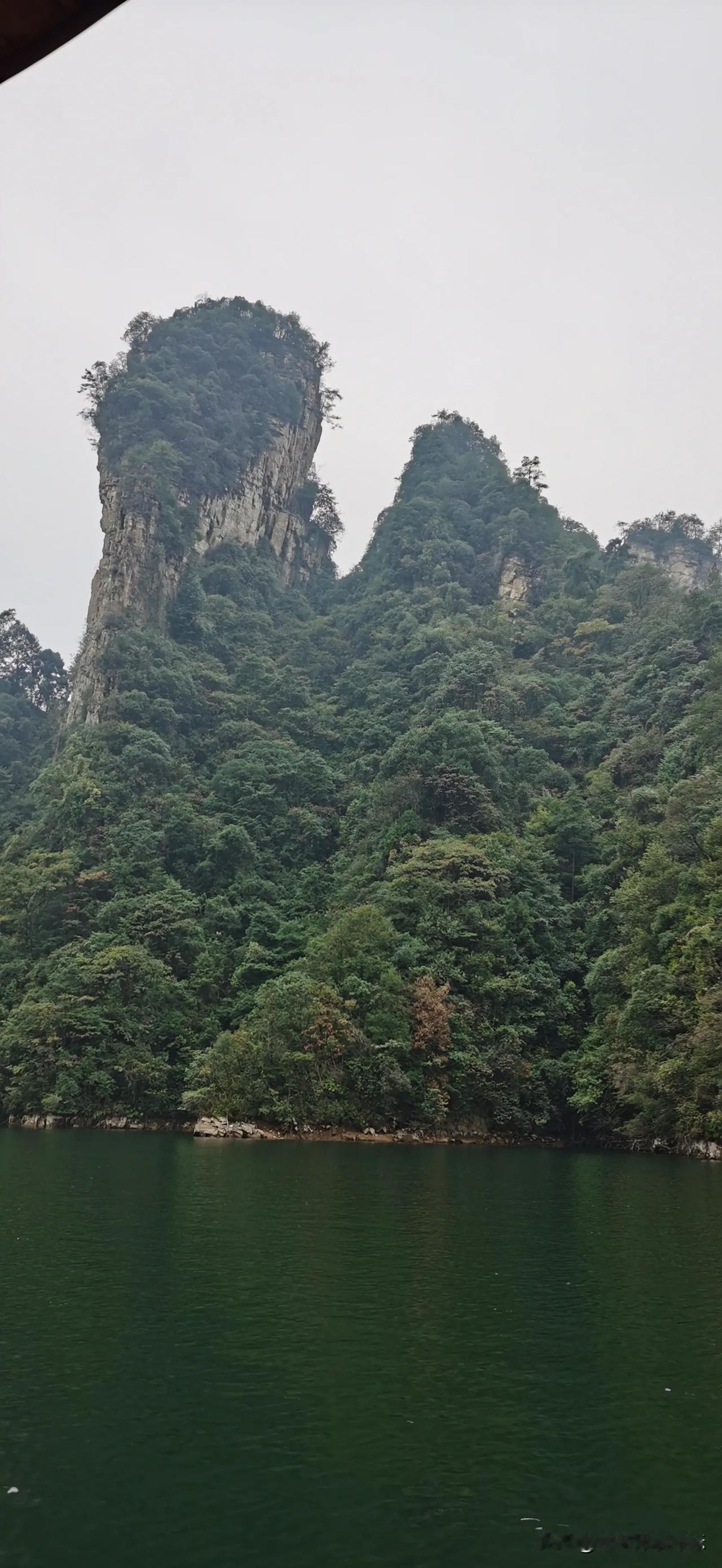 评标那些事（一）有一天正在处理一件棘手的事情，突然手机响了，一看是评标邀请电话