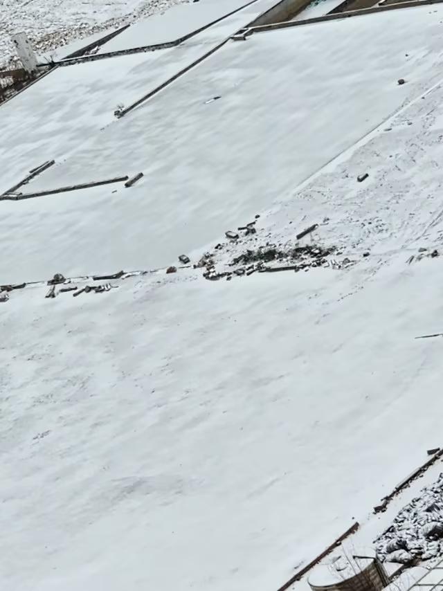 昨天到今夜青岛下了中雪今早天气阴，最低温度一5度，体感一17度，北风7级。预计