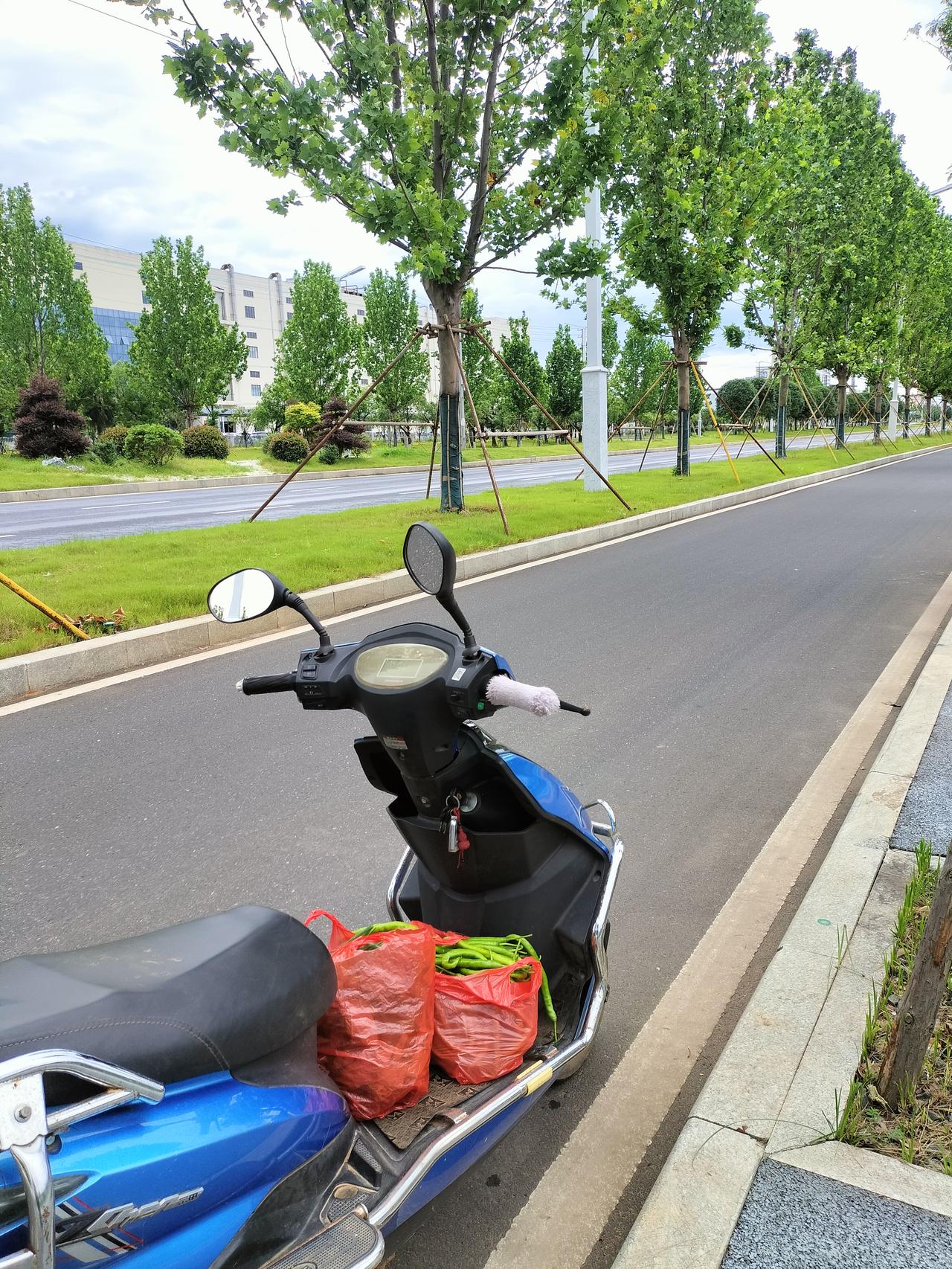 今天我摘辣椒和空心菜要到顺丰快递站寄到广东汕头去，但快递员说搬走了，不在老位置，