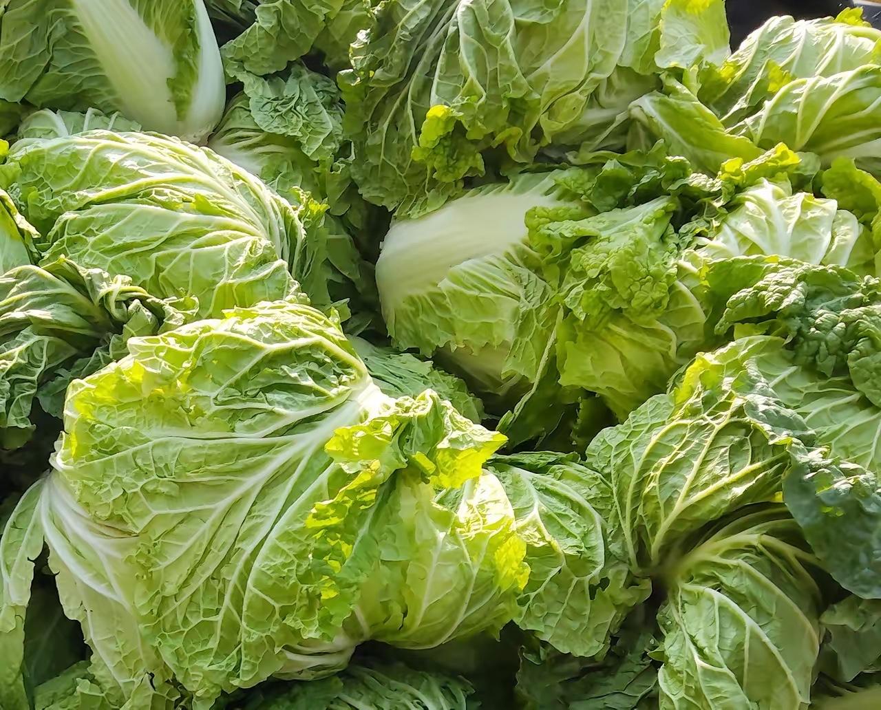 你以为只有毒红薯、毒萝卜和毒白菜吗？其实远不止这些，毒蔬菜和毒水果比比皆是。​