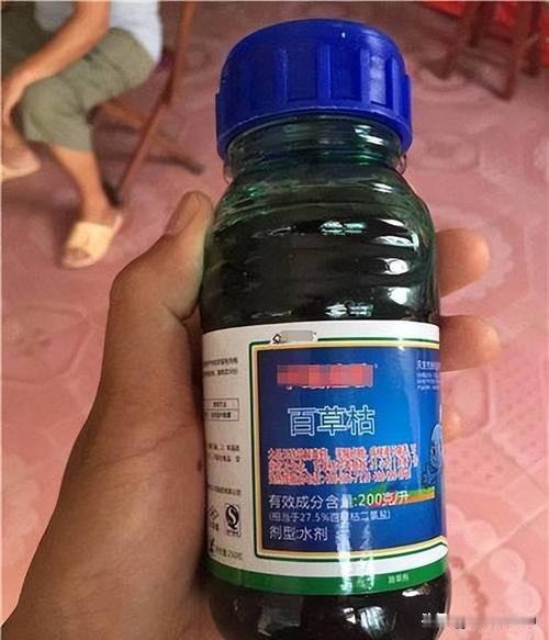 我们一说到百草枯，急诊科医生最怕的就是它。没有解药，喝下去基本活不了，肺会慢慢变
