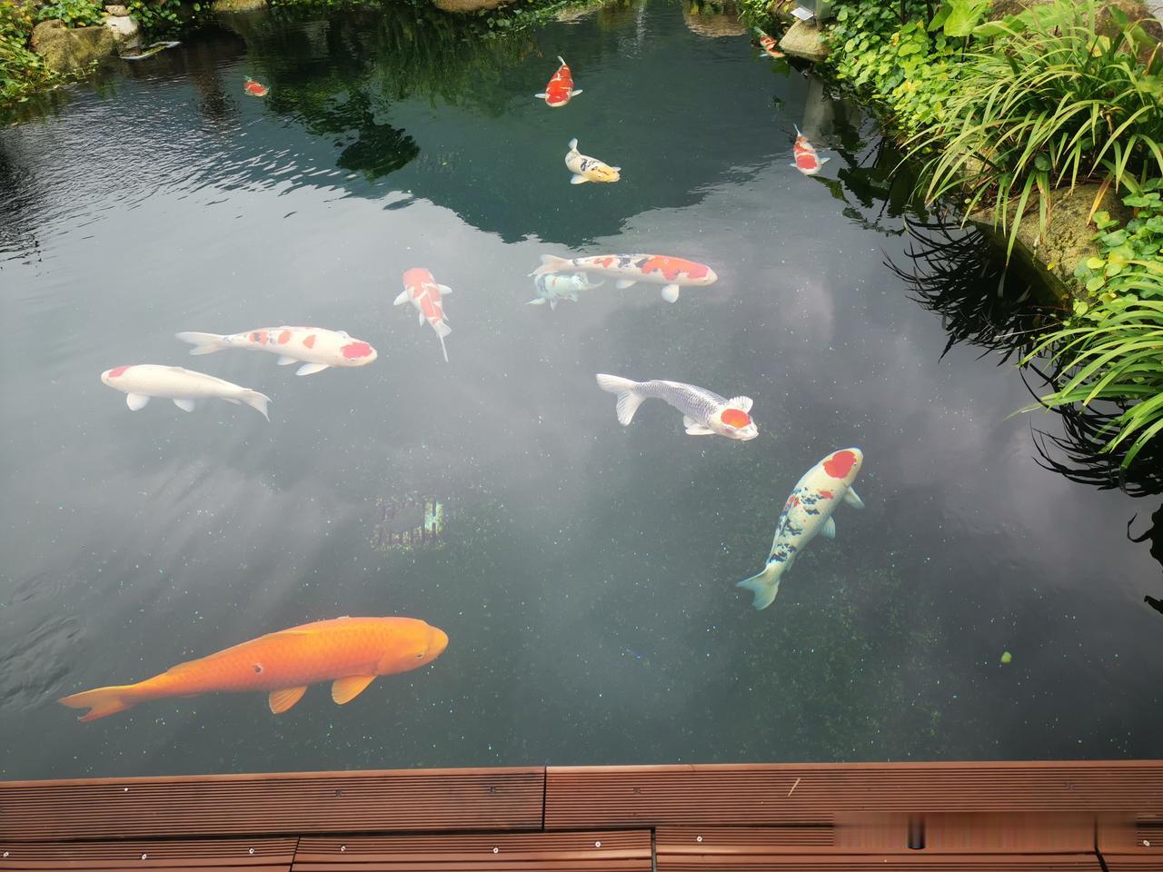 007期双色球趋势分析上期开出4大2小，偶数独占鳌头，28尾继续牛，小尾升温