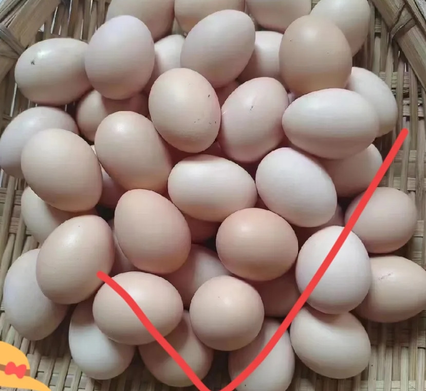 果然还是儿子亲呢？我今天下班回去的晚，于是就让婆婆做饭，婆婆还问我想吃什么，我说