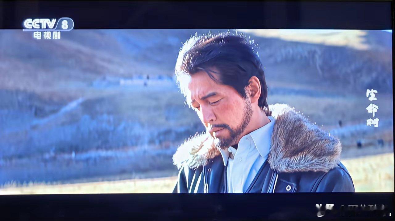 《生命树》中胡歌以特别出演的身份出现在演员表里。原本以为剧中由他饰演的多杰副县长