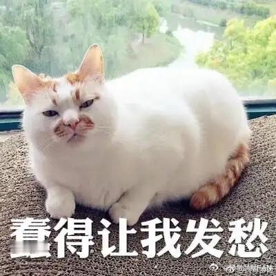 M先生看上去聪明，其实很蠢