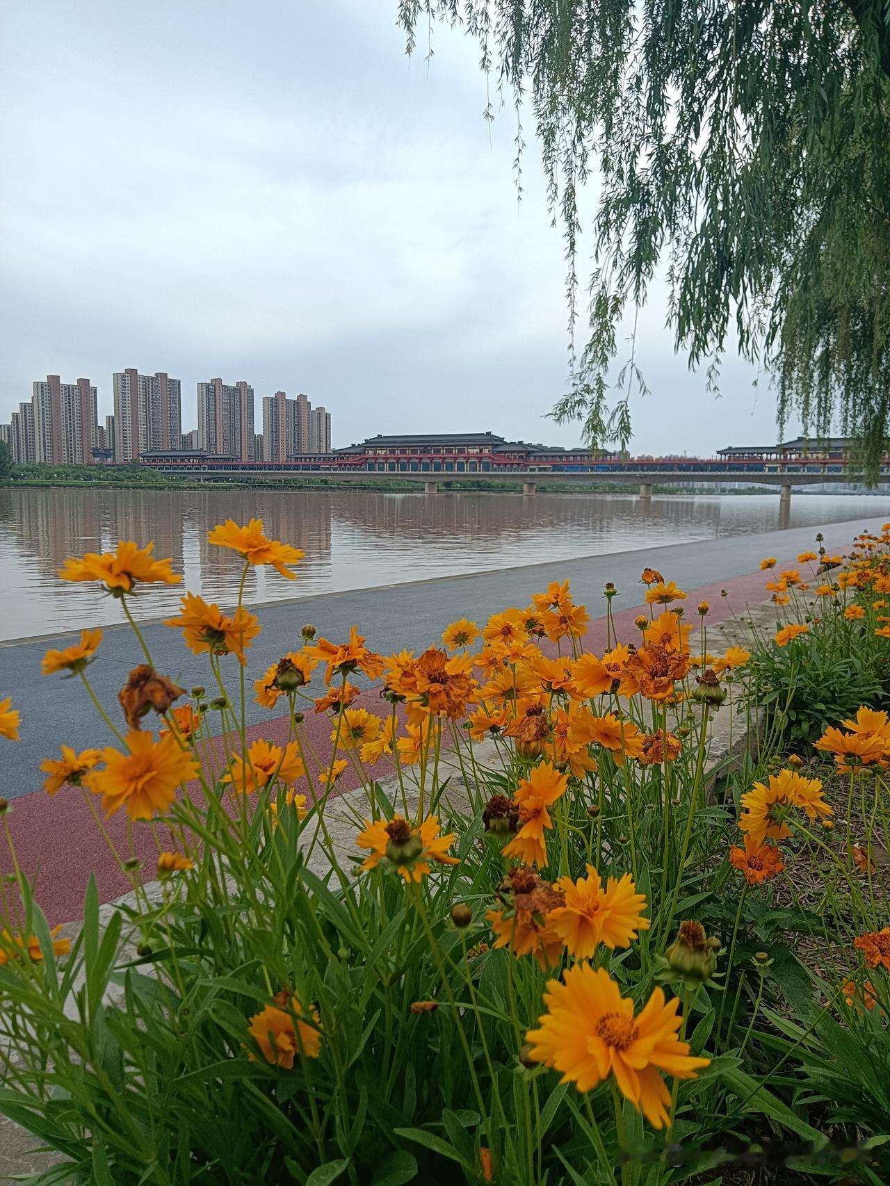 下了几天的雨可算是停了，趁着“雨魔”中场休息，（后期预报有雨）我下午又一次赶趟咸