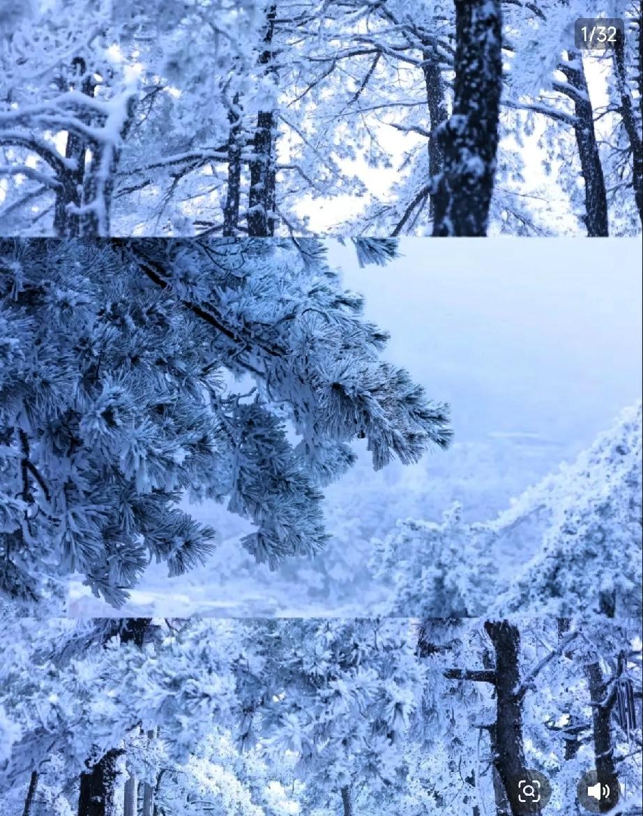 提前给大家提个醒，厚衣服要备好了再有三天，也就是元月17号，正式迈进四九天