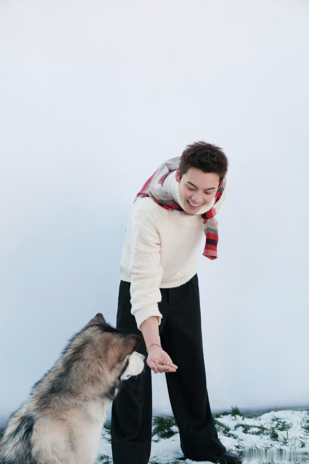 陈伟霆它咬了你我立马下班笑到打鸣！陈伟霆在花絮里的这句发言直接封神，一边护着