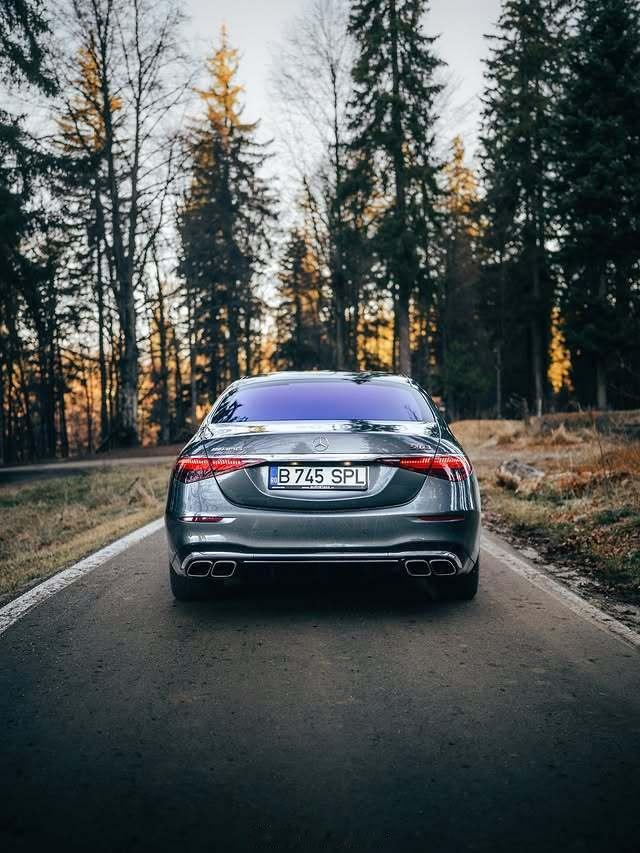 🌲🌲🌲林间行走……🍂🍂🍂👽👽👽AMGS63👽👽👽