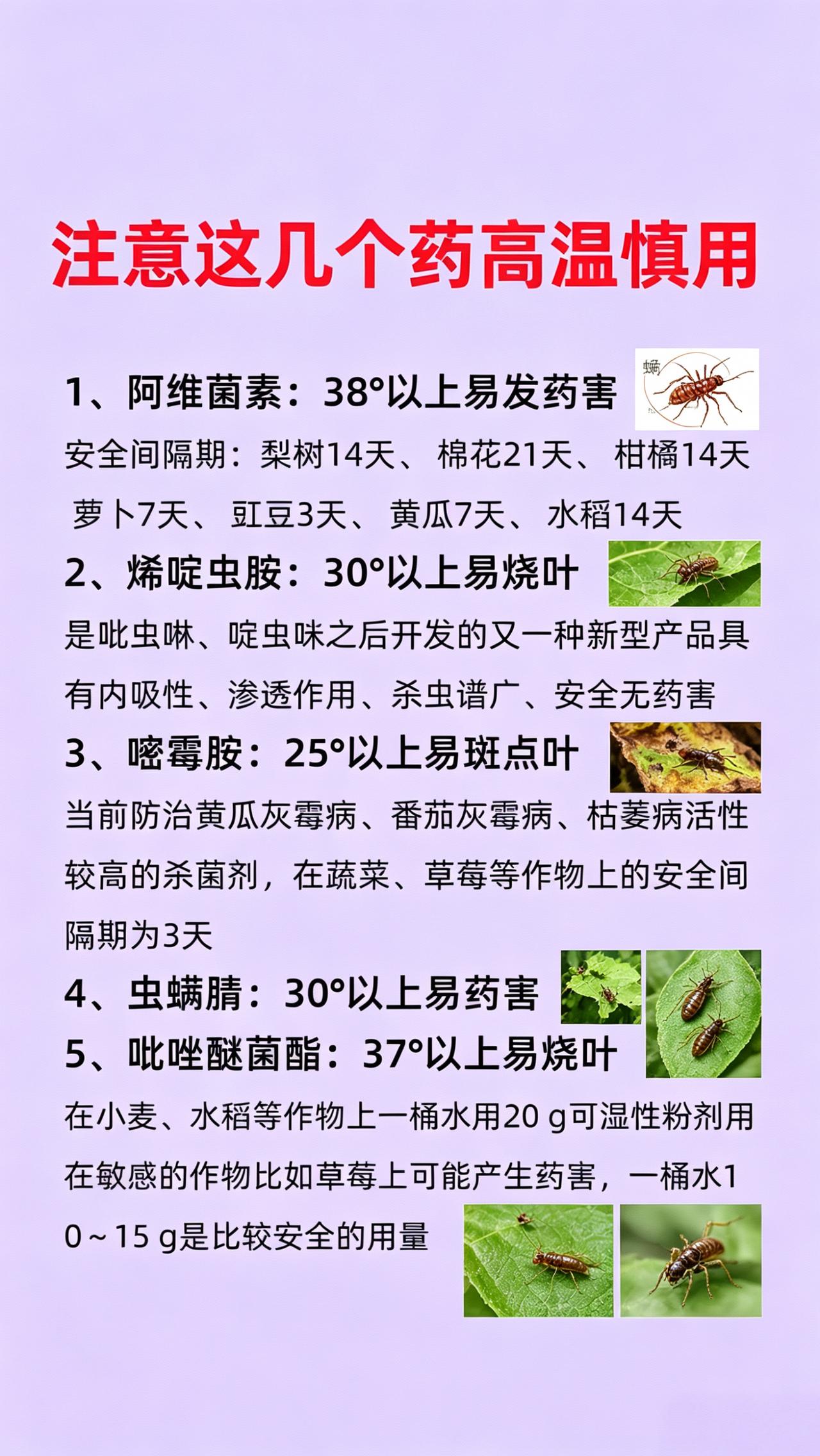 农业种植病虫害防治杀菌剂杀虫剂