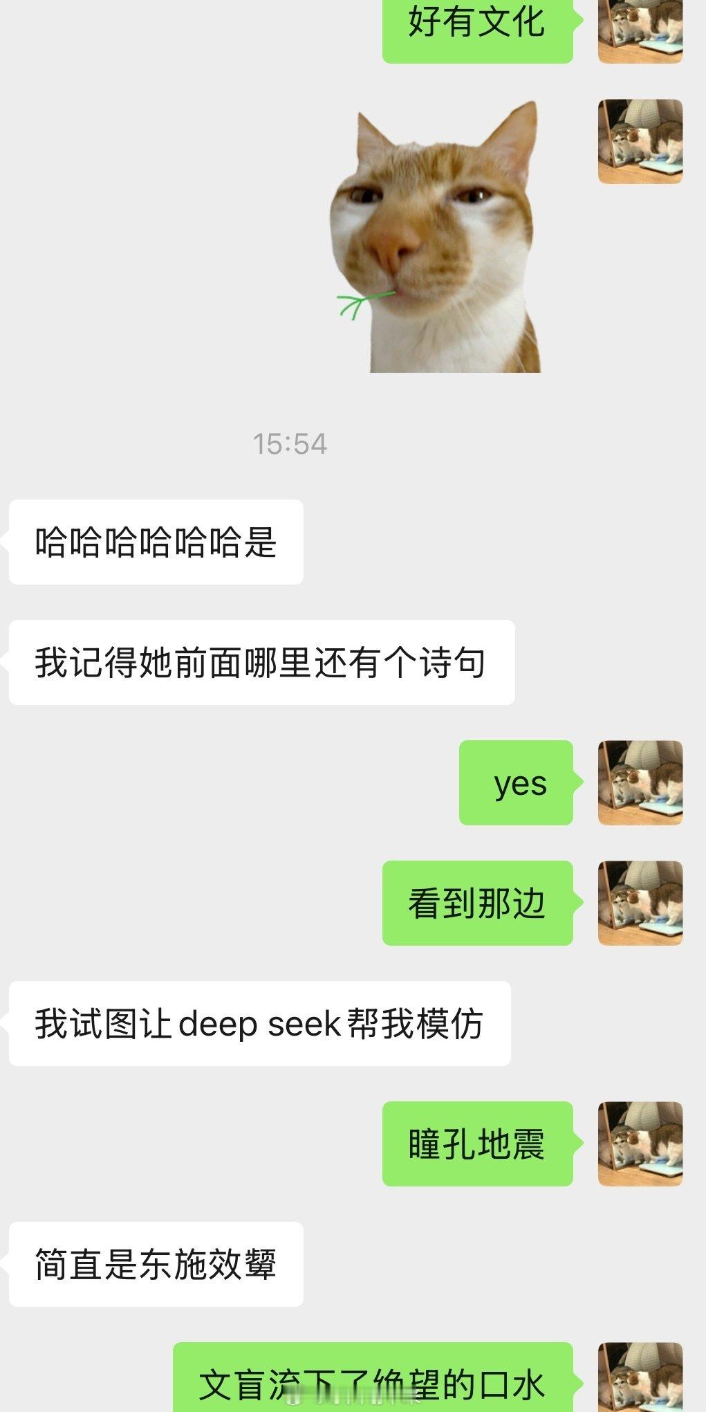 绝望的文盲也要写论文​