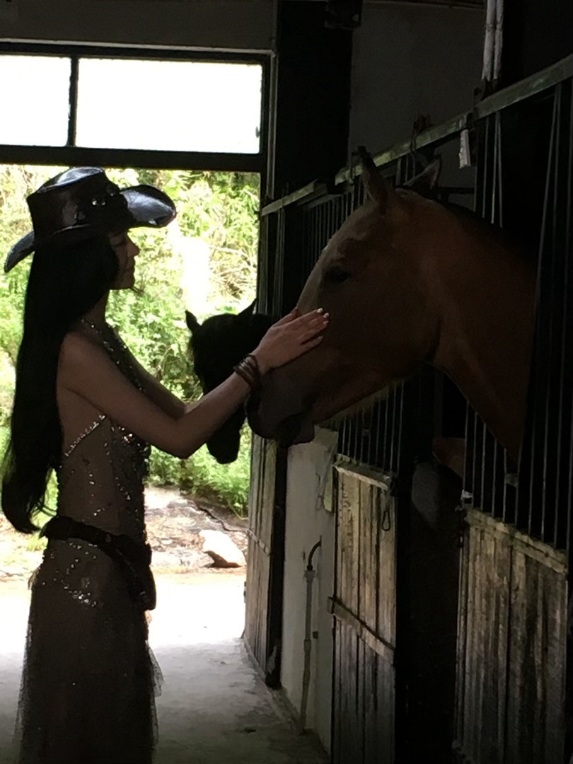 跟小动物的一天