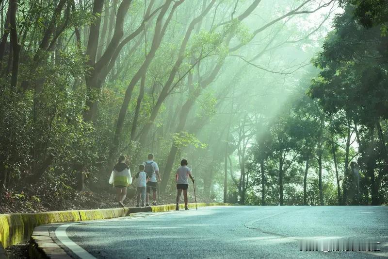 在我看来，健康长寿是一种全方位的良好状态。身体功能良好是基础，像心血管、呼吸等各