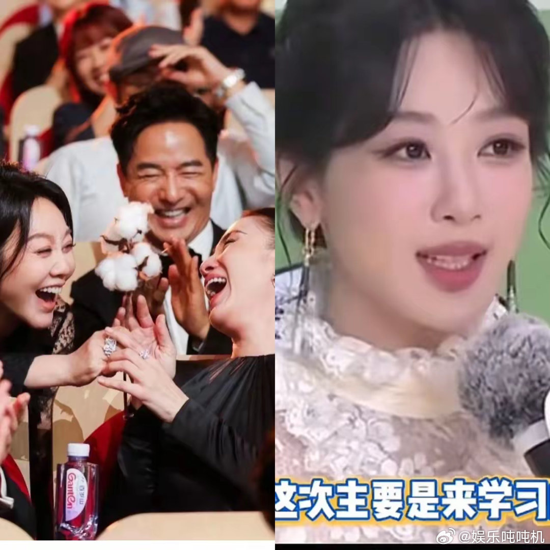 白玉兰晚会最体面的2个人出现了不是视后视帝宋佳靳东也不是马伊琍和蒋欣，而是闫妮和