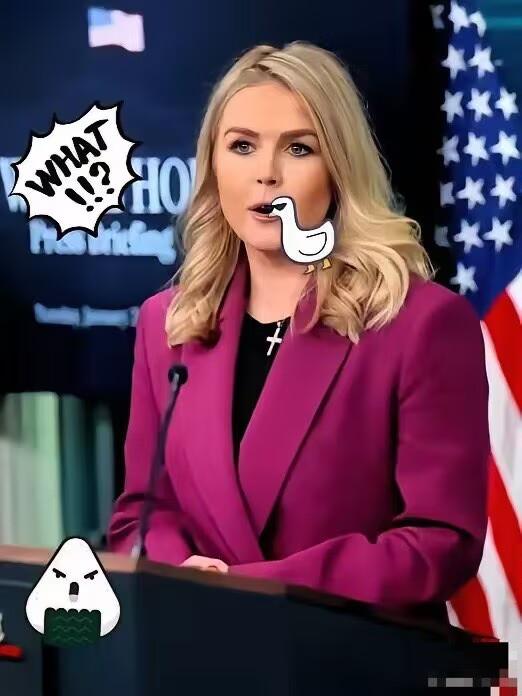 白宫：立即撤回“1260H条款”今天凌晨，卡罗琳在例行记者会上对外确认，将立即