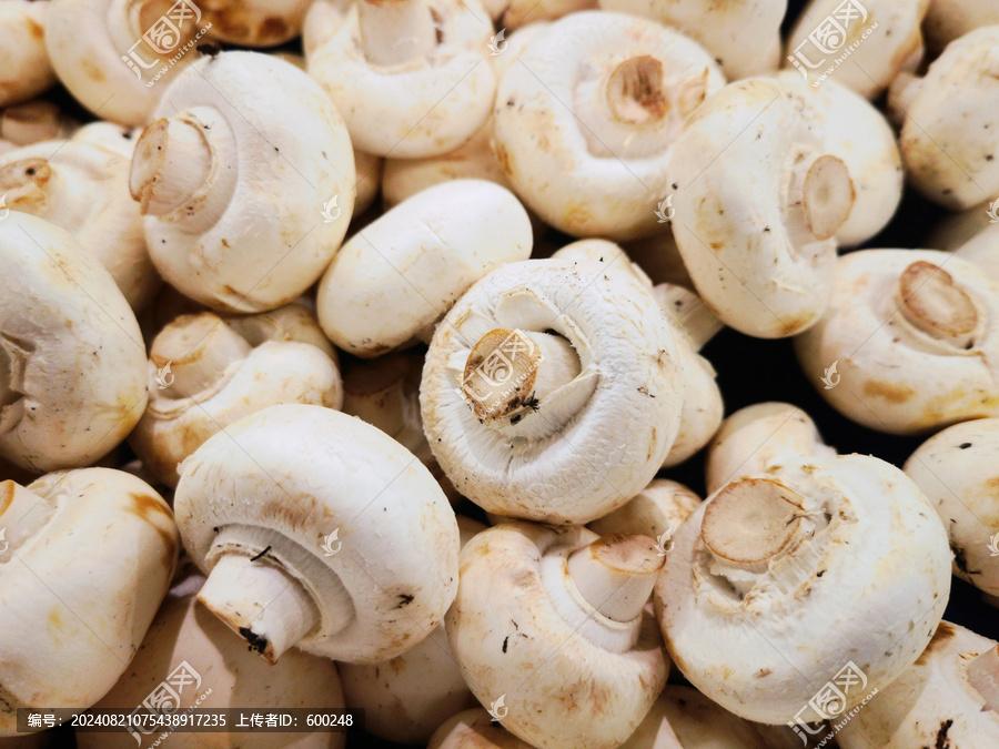 一斤口蘑竟比十只鸡还补？这种被忽略的"山珍"才是三高人群的好帮手，我家一周至少吃