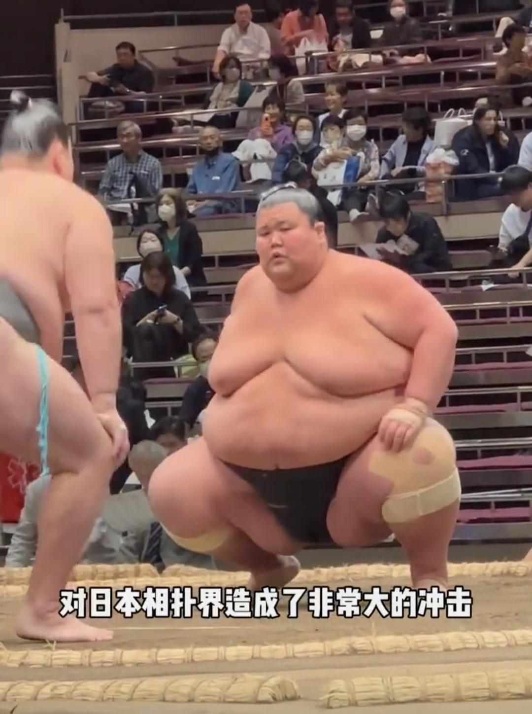 日本相扑选手那么胖，但是他们身边的女人却都很漂亮。他们的体重普遍都在300斤以