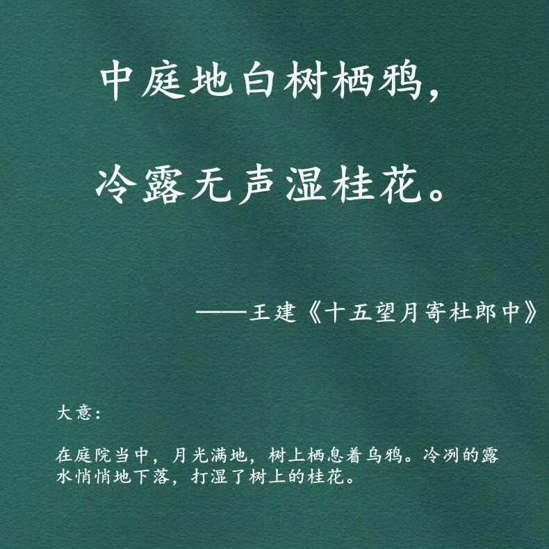 古诗词里的桂花​​​