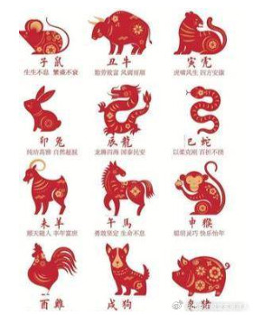 十二生肖之你看不上谁，还是谁看不上你：1、龙看不上猪，觉的猪太傻2、虎看不上蛇，