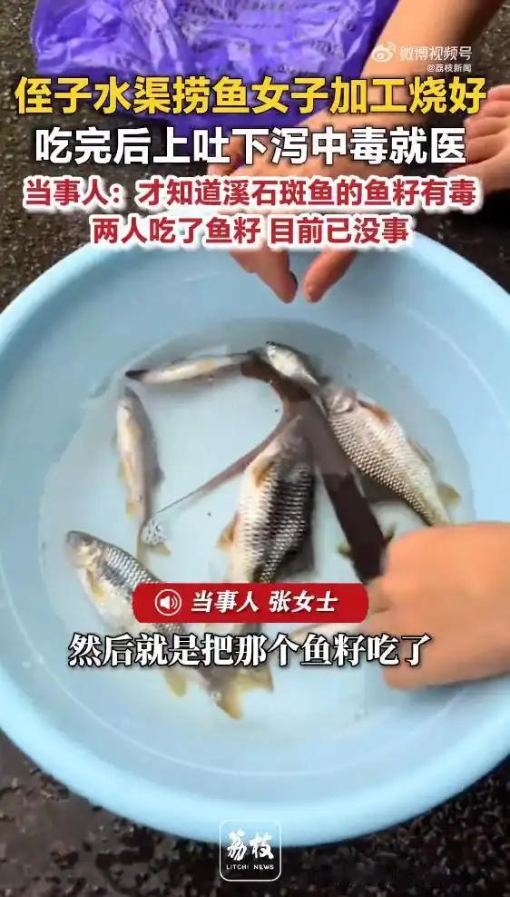 “最担心的事情还是发生了！”广西贺州，女子将侄子从水渠捞回的一兜溪石斑鱼烧熟上桌