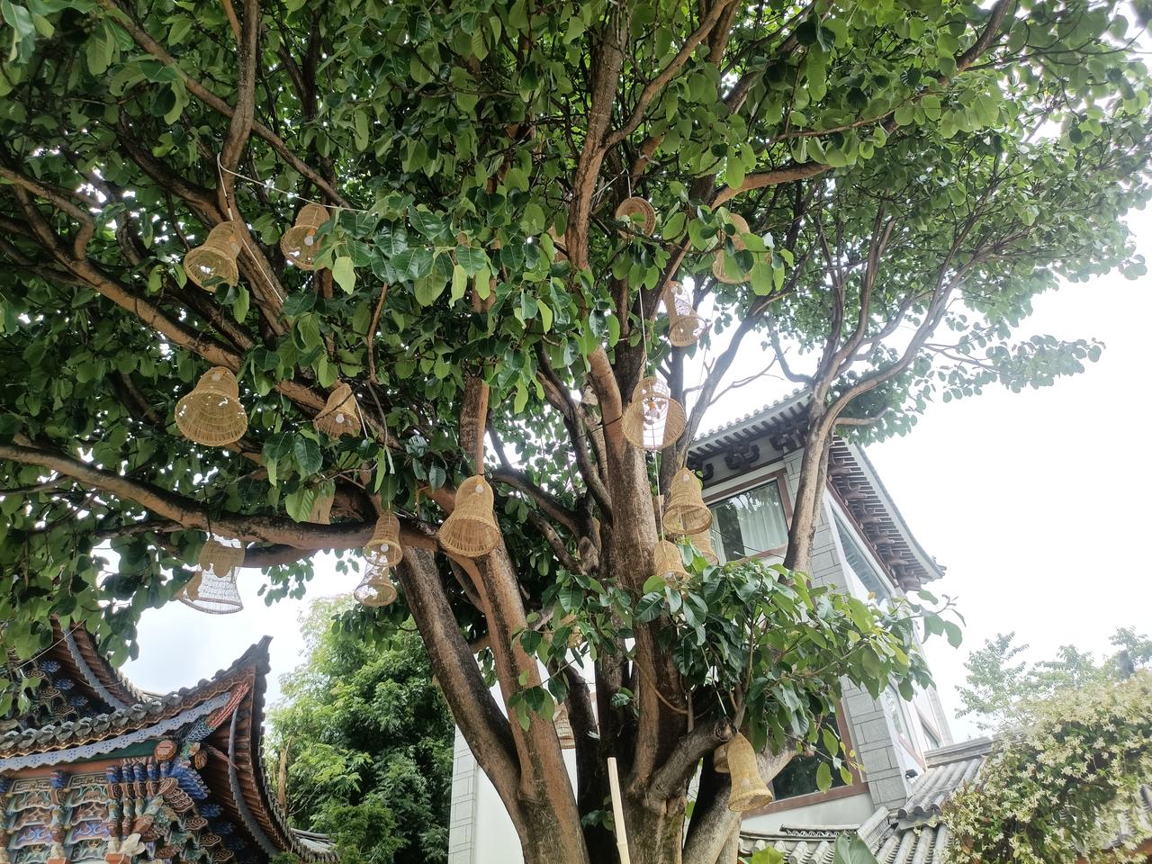 大自然的颜色……