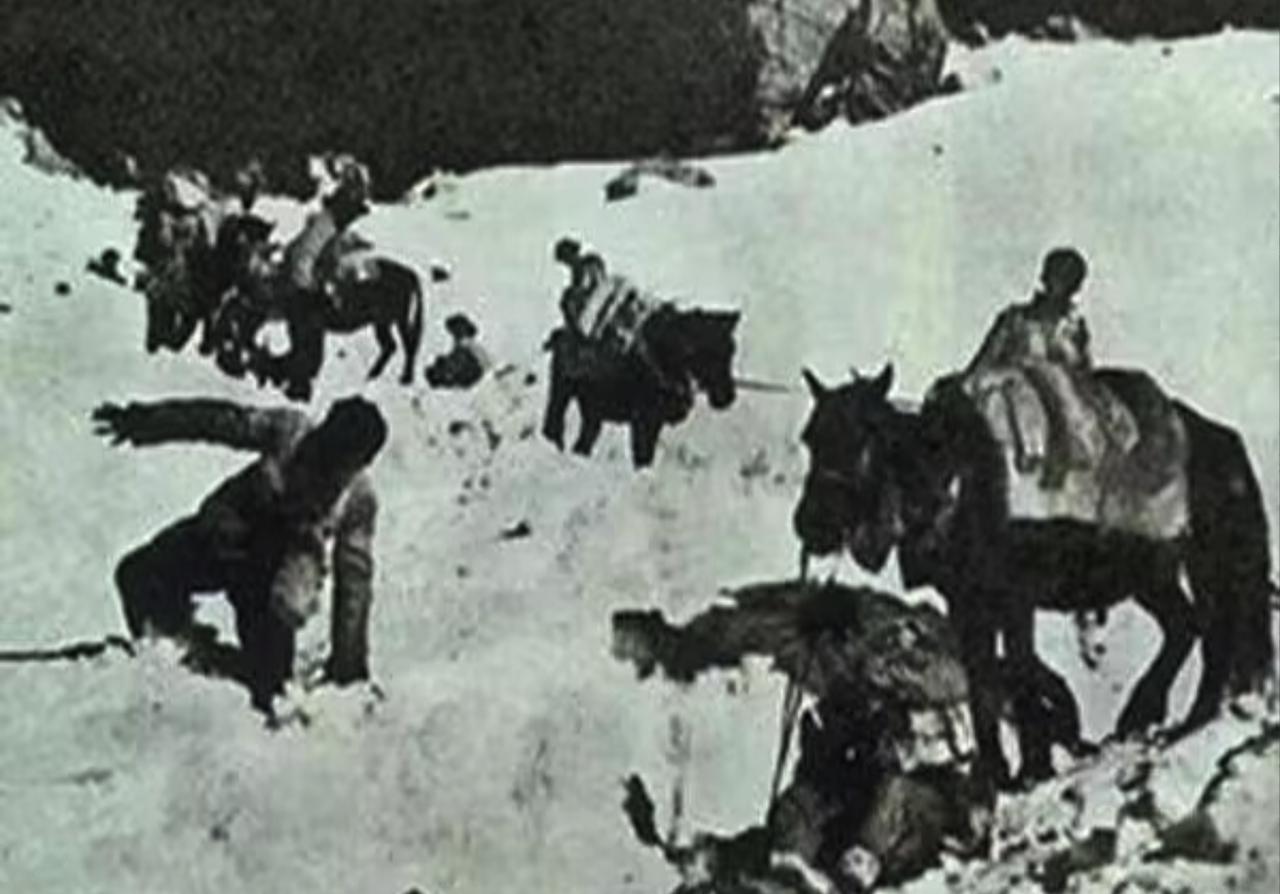 1951年，一野雪域高原剿匪，一年歼敌不足千人，匪首叫嚣：我有妙计挡追兵！你们有