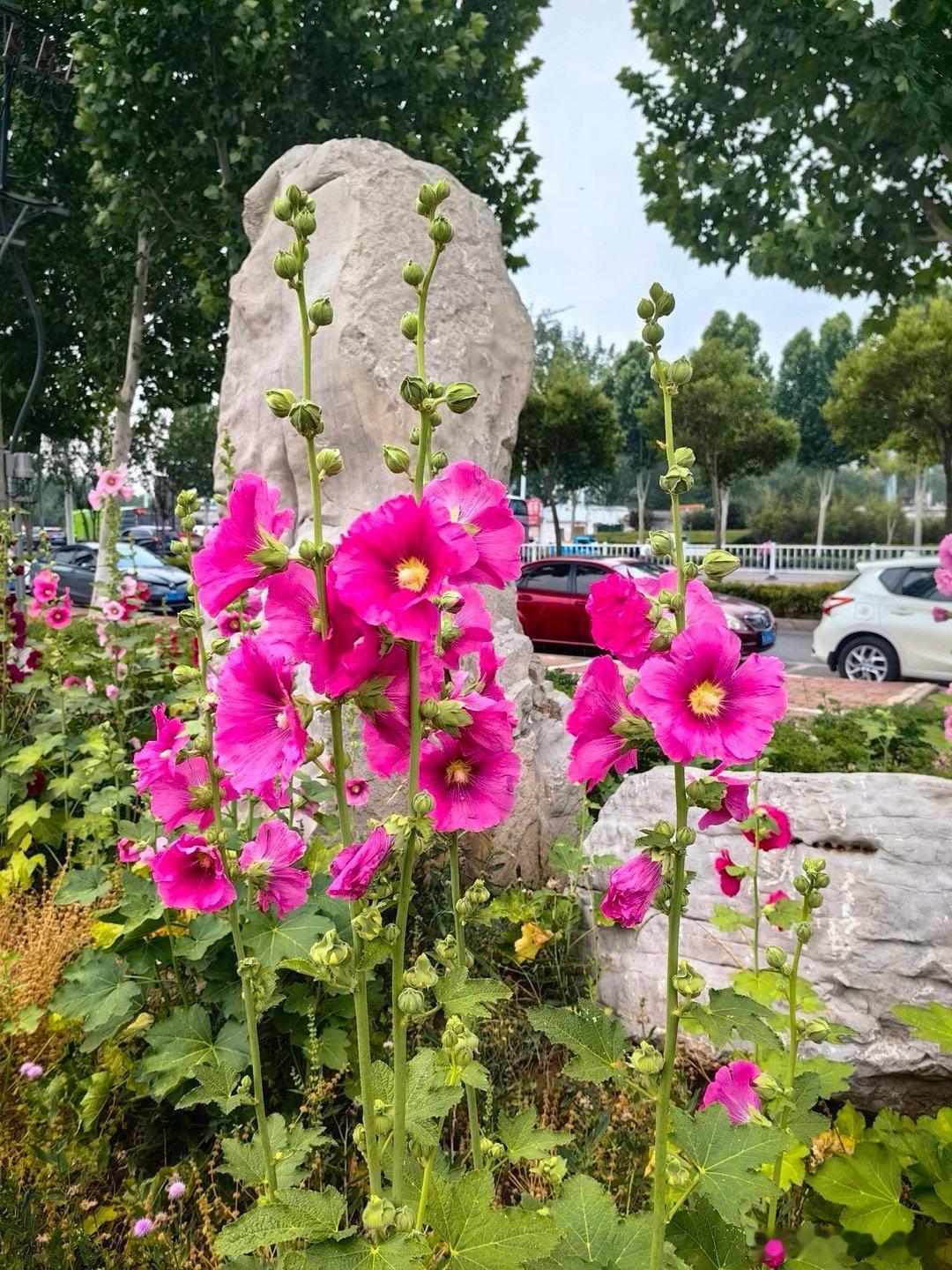 马年A股的目标是6200点，不管你信不信，这都将成为现实。俗话说，牛马年