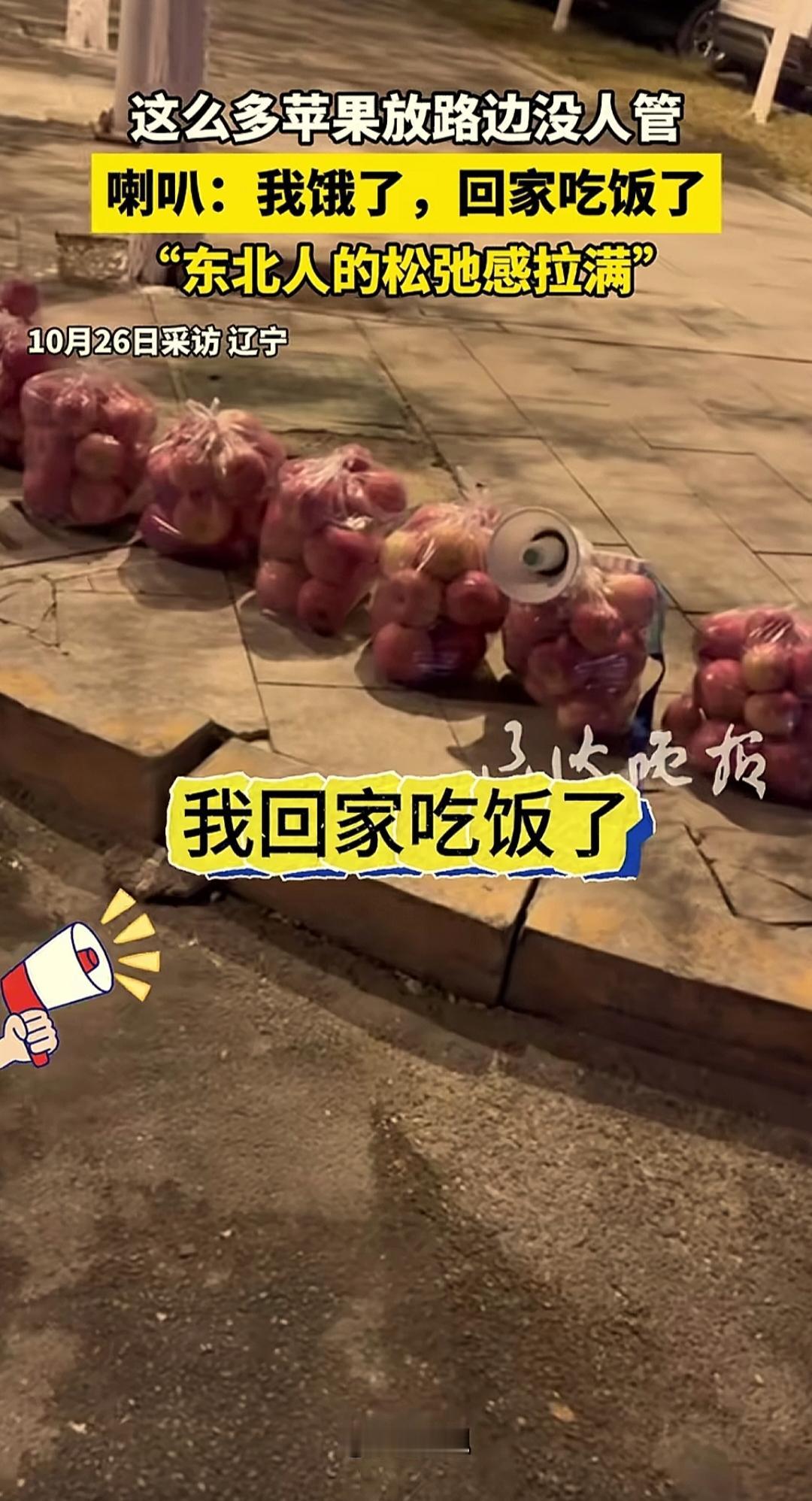 辽宁一小区门口的路边,放了一溜装好袋的苹果,苹果袋子上放着喇叭和二维码,喇叭里循