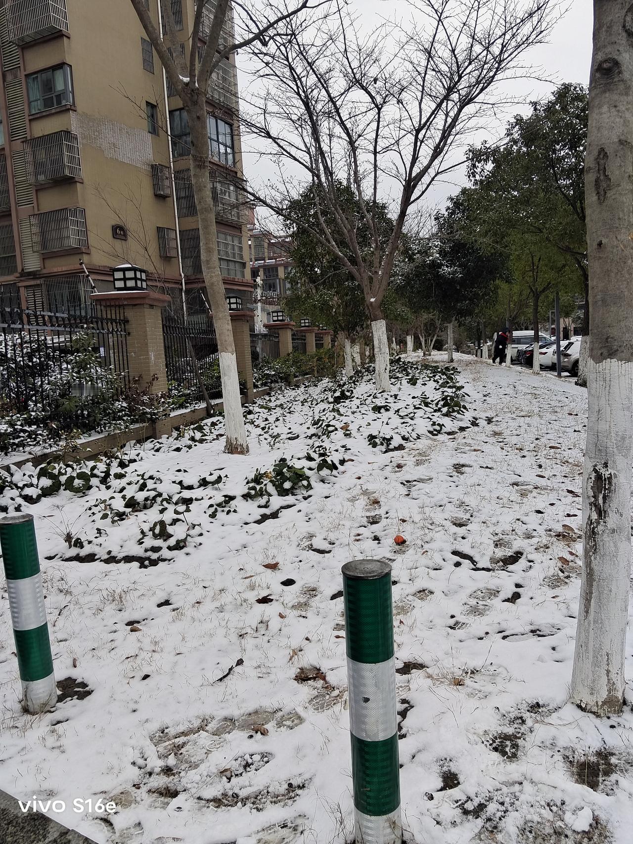 今年冬天与往年相比，寒意来得更加凛冽，不仅降温幅度大，而且降雪幅度大，多地刷新低