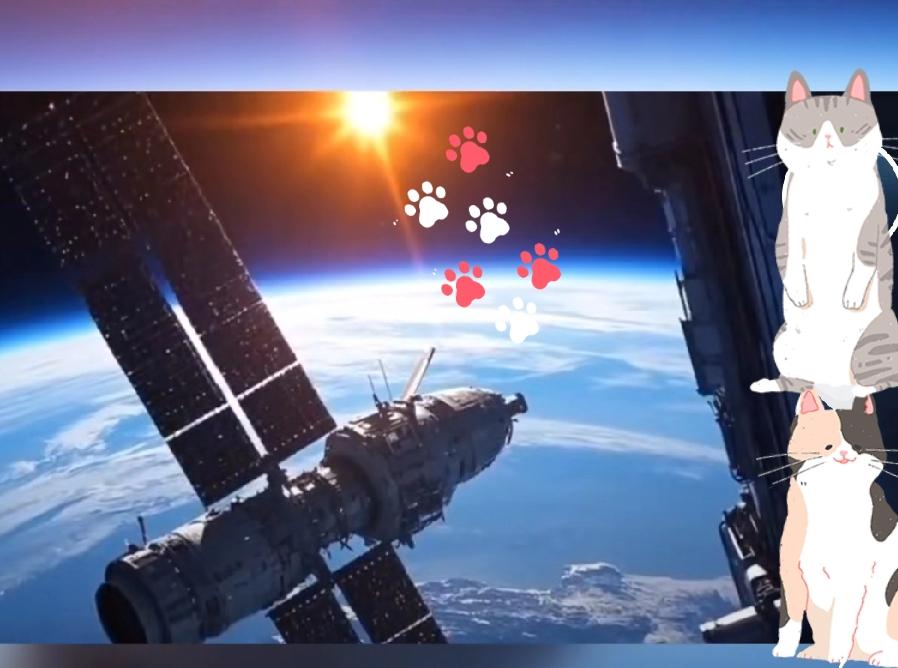 果不其然美国一些媒体突然统一口径：宣称中方空间站“全中文”不利于国际合作！