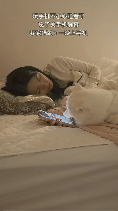 “太有灵性了！”广东，一女子躺床上玩手机，玩着玩着就睡着了，手机也没关，结果没想